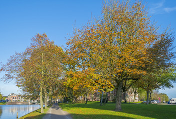 Walking in a sunny park in autumn