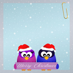 owls at Christmas