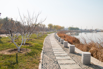 Sidewalk in the park