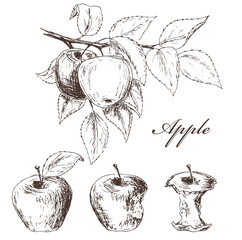 Obraz premium Apples set