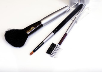 Professional brushes