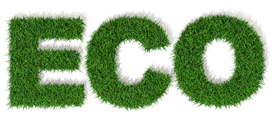 ECO lettere erba verde, isolata su fondo bianco