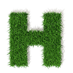 H lettera erba verde, isolata su fondo bianco