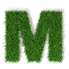 M lettera erba verde, isolata su fondo bianco