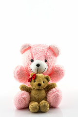 Pink and brown teddy bear.