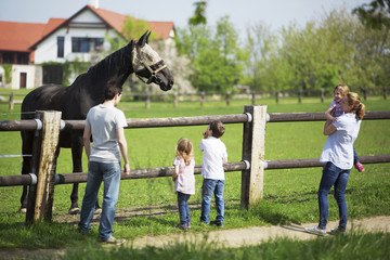 Fototapeta premium Familie besucht Pferdekoppel