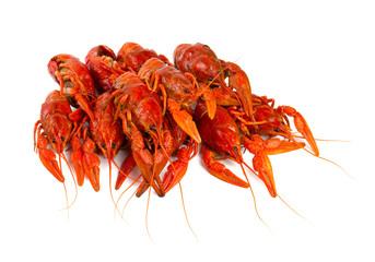 boiled crawfish isolated on white