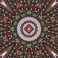 Ethnic decorative vector ornament on native ethnic style