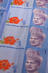 Ornament from Malaysia Ringgit banknotes