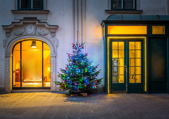 Obraz premium Christmas tree in Vienna