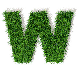 W Lettera erba verde, isolata su bianco