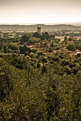 Fototapeta na wymiar Medieval citadel of Vicopisano (Tuscany - Italy)