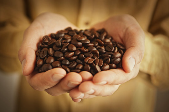 コーヒー豆を持つ手
