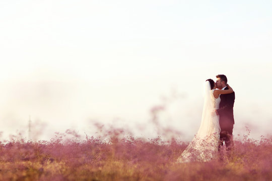 bride and groom love in a mouve flower land on sunset