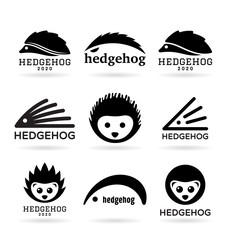 Hedgehogs (1) © pne