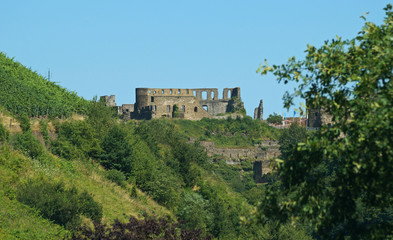 Fototapeta na wymiar château de Rheinfels