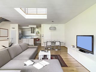 interior view of a modern living room in the attic room