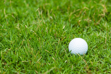 Golf ball on the green grass