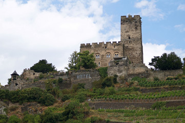 Fototapeta na wymiar chateau de la vallée du Rhin