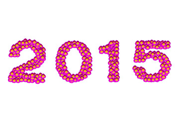 2015 from purple flower
