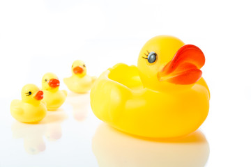 Yellow rubber duck isolate