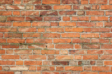 Fototapeta premium brick background