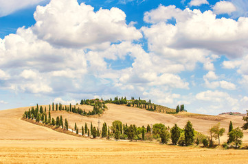 Typical Tuscan road surrounded by cypress trees and fields in su