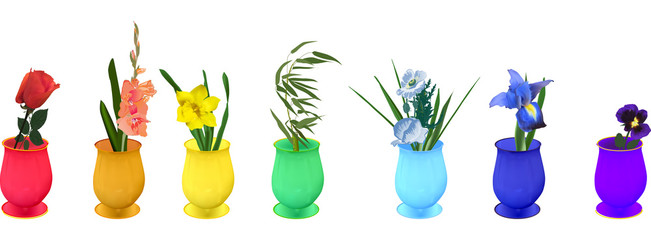 rainbow flowers in vases isolated on white