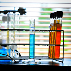 Laboratory research, test tube in rack