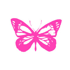 butterflies design