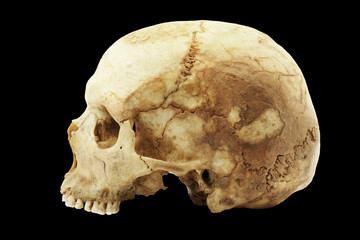 Genuine human skull isolated on black background