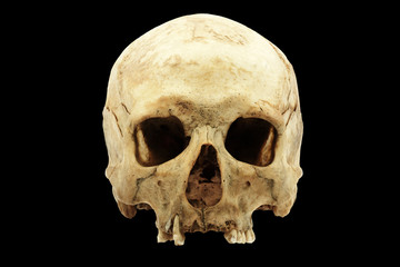 Genuine human skull isolated on black background