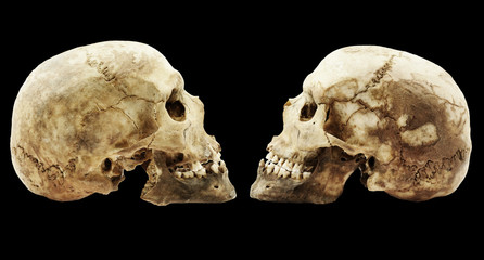 Genuine human skull isolated on black background