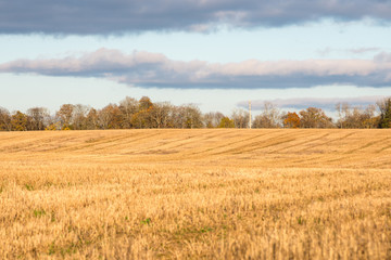 Autumn colored countryside landscape