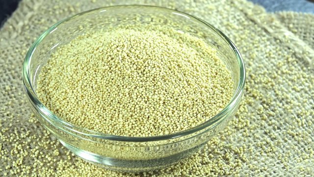 Amaranth (seamless loopable)