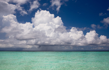 Tropical waters of the Indian ocean, Maldives