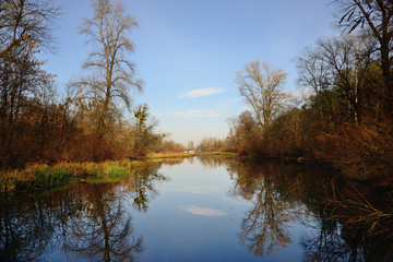 Obraz premium lake in autumn