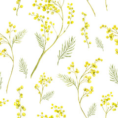 Seamless Pattern with Watercolor Sprig of Mimosa - obrazy, fototapety, plakaty