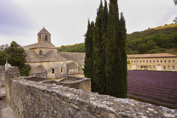 Senanque, Kloster Provence
