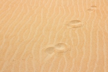 Fototapeta na wymiar Beach sand in Crete