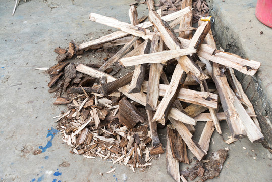 Various size Pyre prepared for cooking