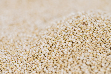 Quinoa background