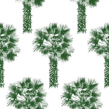 hand drawn palm tree seamless