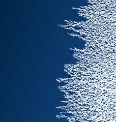 ice texture for christmas or winter background