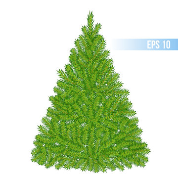 vector green color christmas tree