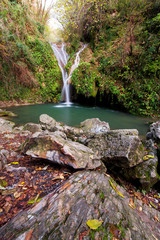 Cascata nel bosco