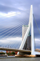 Erasmus Bridge in Rotterdam, the Netherlands