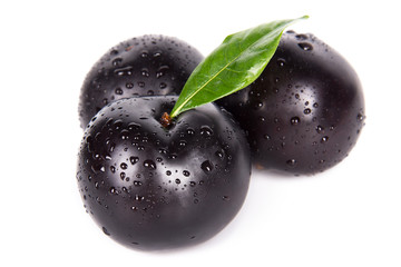 dark plums