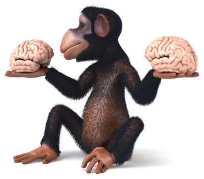Fun monkey