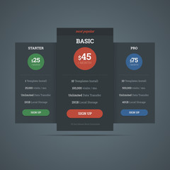 Pricing table template for hosting business with three plans. Ve © Valery Zanimanski